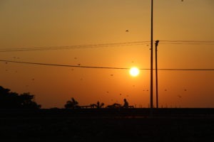 Arugam-bay-sunset