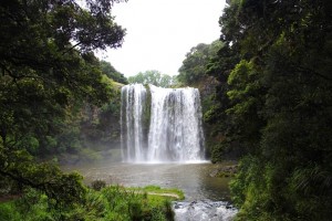 whangarei-falls