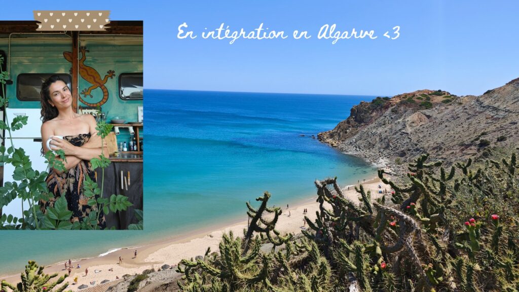 integration ayahuasca