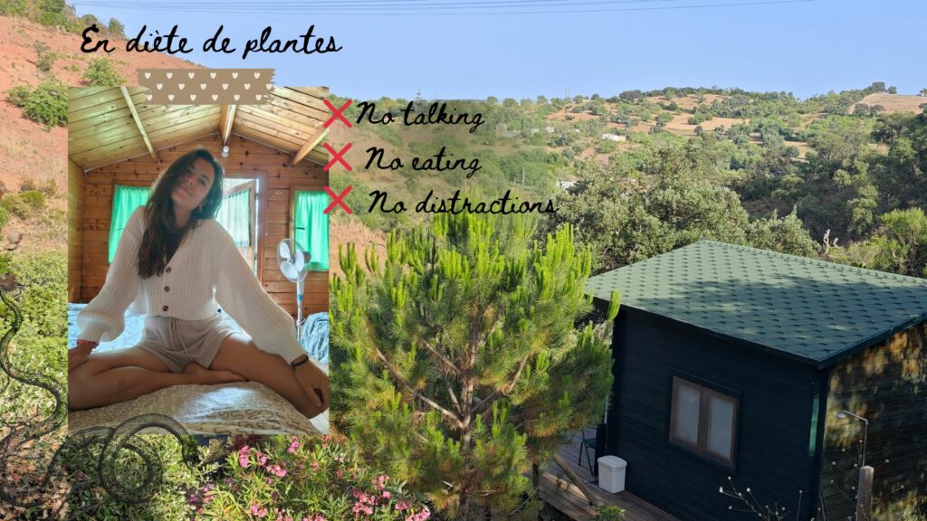 ayahuasca portugal chamane recit experience